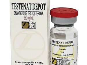 Testenat Enantato Landerlan 4ml